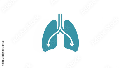 Lungs icon for breathing and respiration. Minimalist flat design of the human respiratory system. Medical health vector illustration