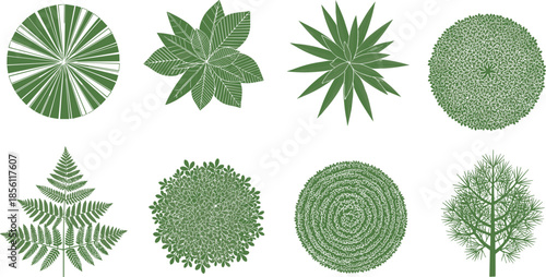 Top view garden plants collection with bushes shrubs trees and ferns for landscape design natural greenery vector illustration isolated