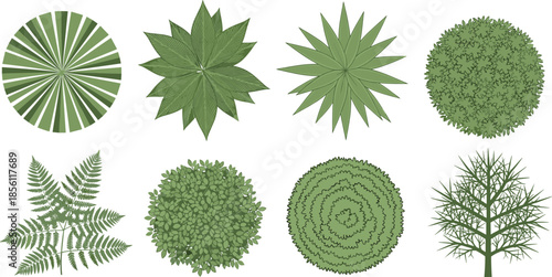 Top view garden plants collection with bushes trees ferns shrubs for landscape design natural greenery vector illustration isolated white background