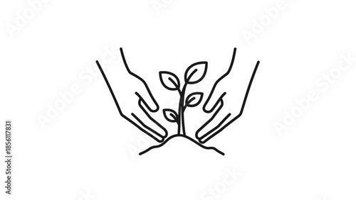 Hands Cradling a Small Plant.