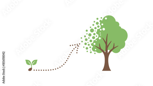 Tree Growth Stages from Sprout to Maturity.