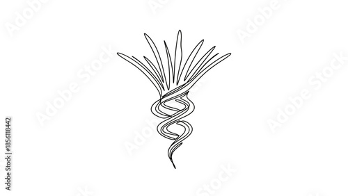 bundled twigs and vine