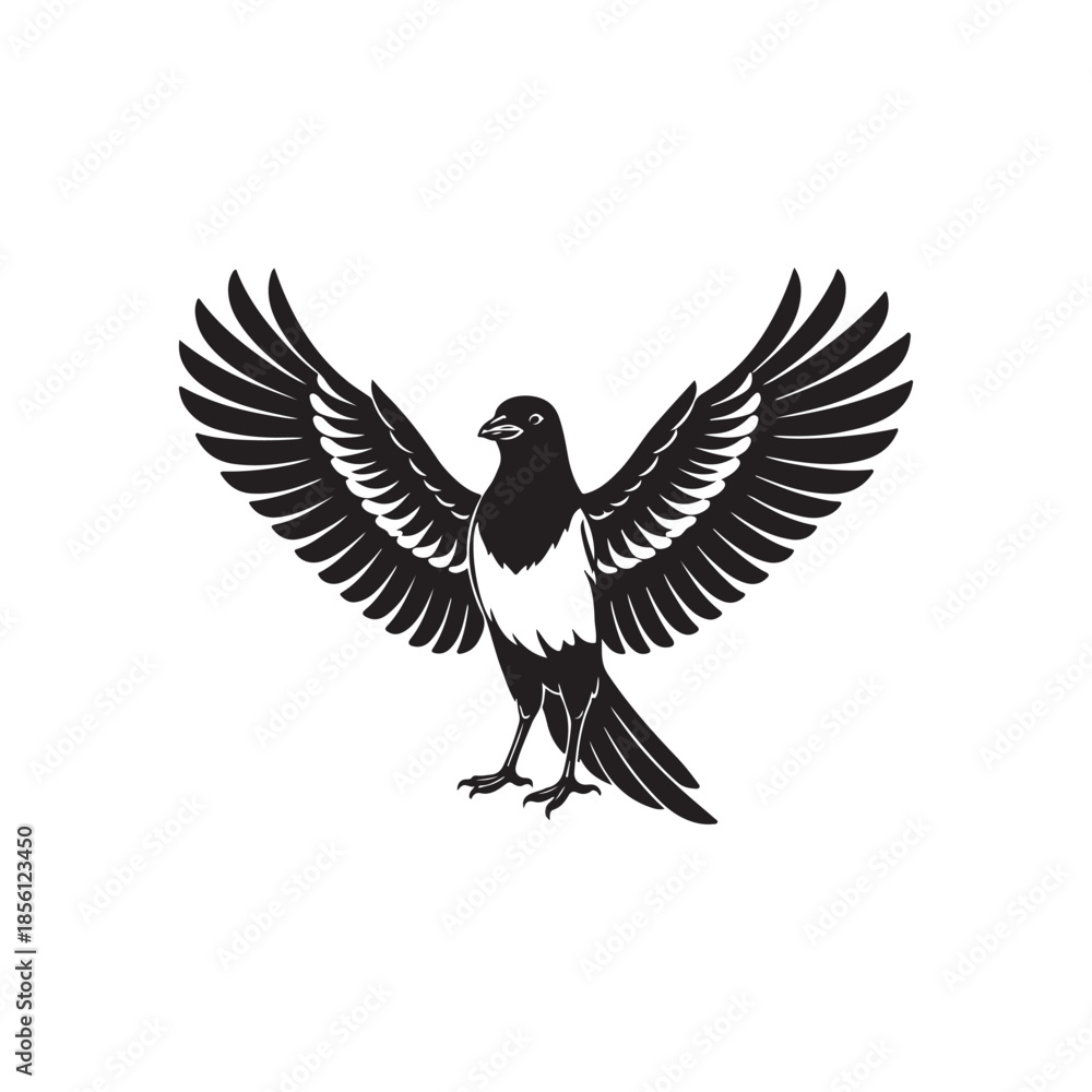 Fototapeta premium Black and white magpie bird with spread wings vector illustration