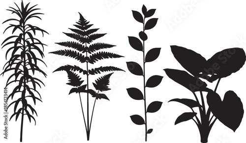 Silhouettes of various plants and ferns isolated on transparent background for design and illustration purposes