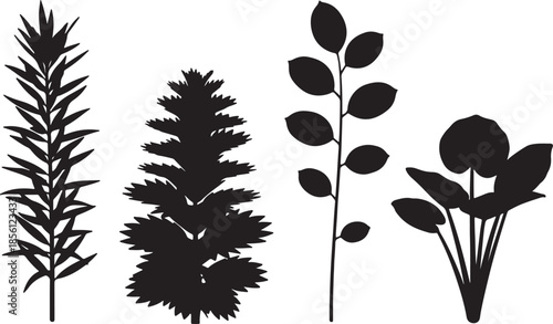 Silhouettes of various plants and trees isolated on transparent background