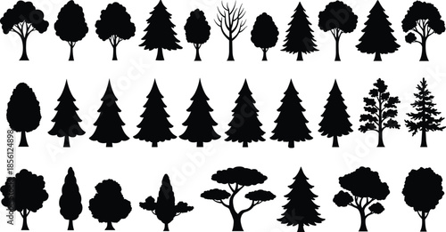 Variety of black silhouette tree icons – deciduous and coniferous trees, different shapes and sizes, vector nature elements set
