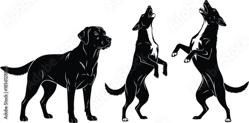 Dog silhouette set showing standing and jumping poses, playful canine behavior, pet training actions, animal movement illustration collection