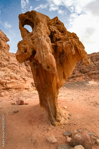 Mushroom Rock, White Canyon (Wadi Qunai), Ain Khudra, Sinai Peninsula, Egypt
Wind-eroded sandstone formation in the desert of South Sinai.