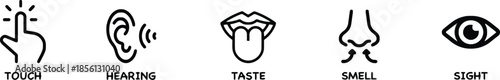 Human Five Senses Line Icons Sight Hearing Smell Taste Touch Vector Pack for Sensory Perception and Awareness Two Hundred Characters