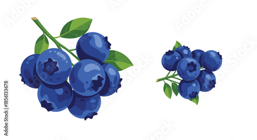 Two clusters of plump blue blueberries with green leaves are shown on white, highlighting the fresh and healthy nature of wild summer fruit.