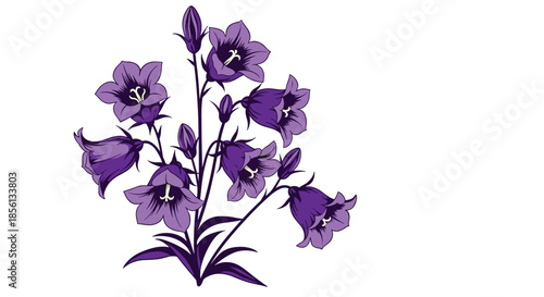 Beautiful cluster of purple bellflowers with delicate petals and green leaves isolated on a white background.