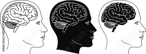 Illustration of human brain profiles in black and white