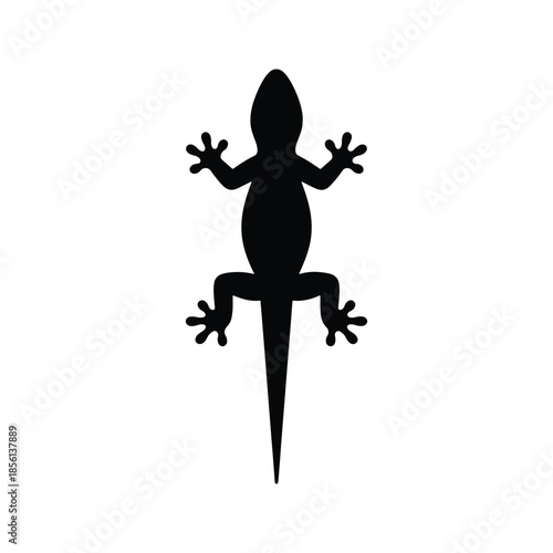 Lizard silhouette top view reptile animal icon
