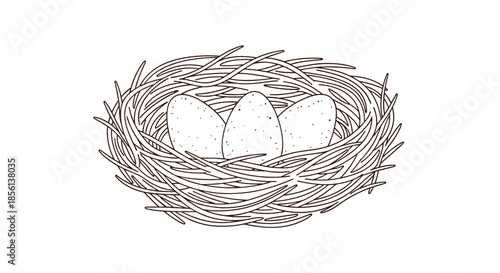 Simple line art illustration of a bird's nest woven from natural materials, gently cradling three speckled eggs, symbolizing new life and spring.