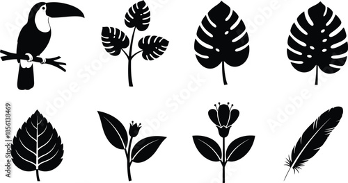 Tropical leaves and toucan silhouettes