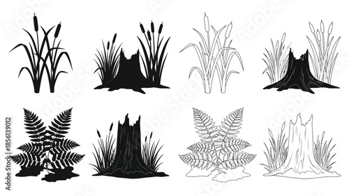 Black and white botanical illustration featuring reeds ferns and tree stumps