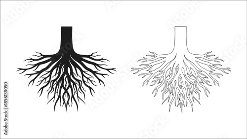Illustration of tree root systems a detailed comparison of growth patterns