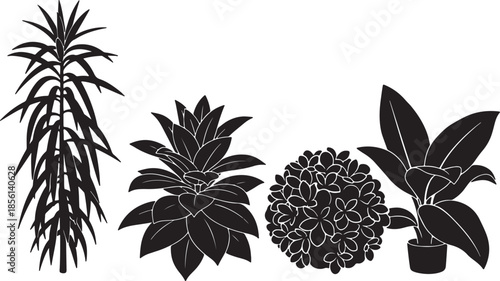 Four Different Types of Houseplants Illustrated in Black and White also transparent background indoor plants
