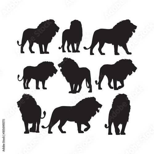 Lion Silhouettes Collection