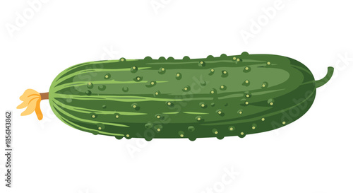 Detailed illustration of a fresh green cucumber with small bumps and a bright yellow flower at the end of its green stem.