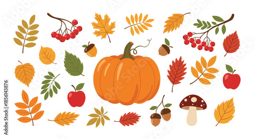 Collection of various autumn symbols including a large orange pumpkin, colorful falling leaves, acorns, and forest mushrooms.