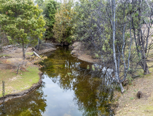 Bernacchis creek in Maria island, Tasmania