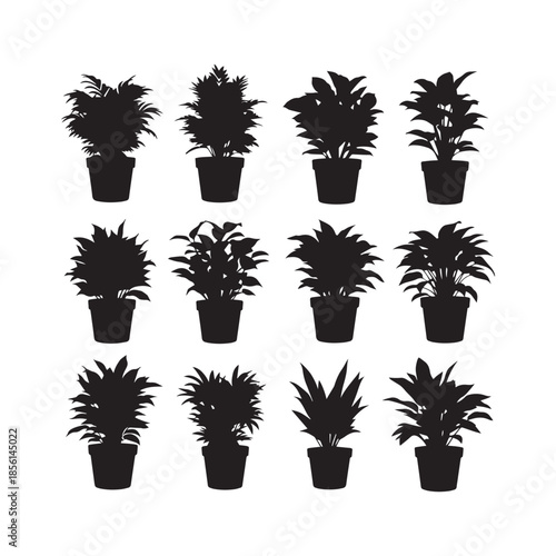 Indoor Potted Plant Silhouettes Collection