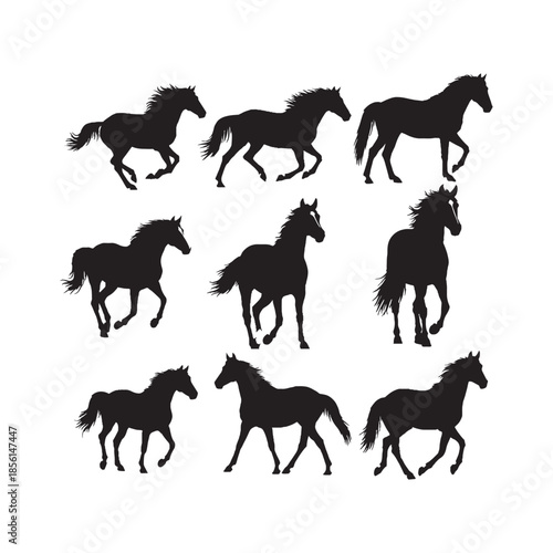 Horses Silhouettes Collection