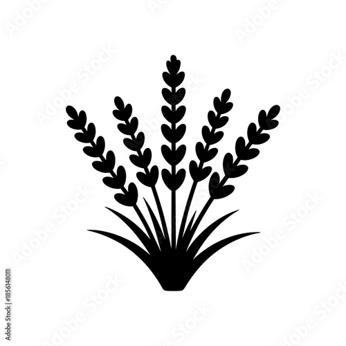 Lavender icon on White Background Vector Art Illustration on white background.