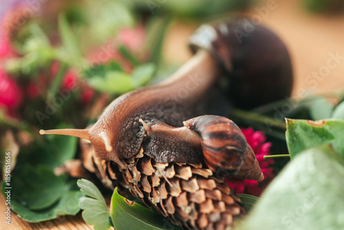 Giant Snails Exploring Vibrant Greenery in a Tranquil Natural Setting