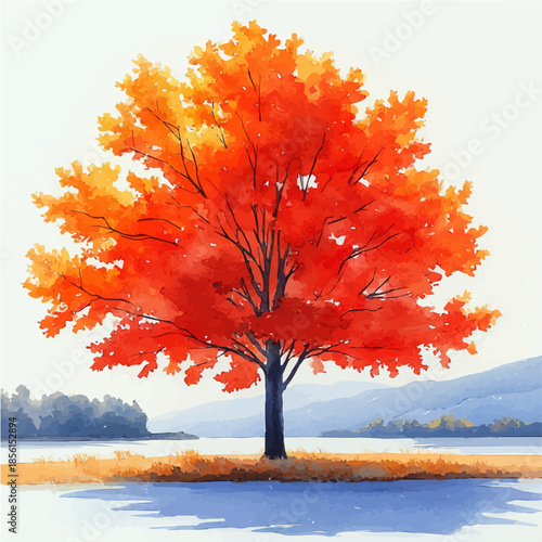 A Maple Tree, watercolor vector, isolated on a white background.