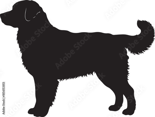 Bernese Mountain Dog Silhouette