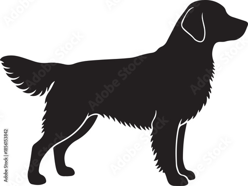Golden Retriever Dog Silhouette