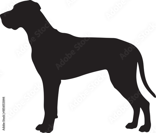 Great Dane Dog Silhouette