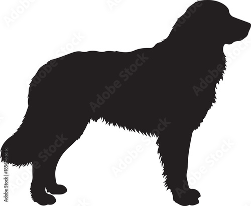 Great Pyrenees Dog Silhouette