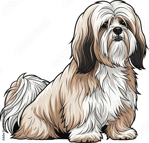 Lhasa Apso dog sitting relaxed attentive cute pose 