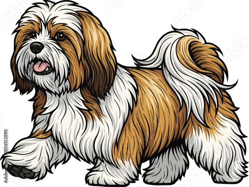 Lhasa Apso dog walking trotting gait cute movement