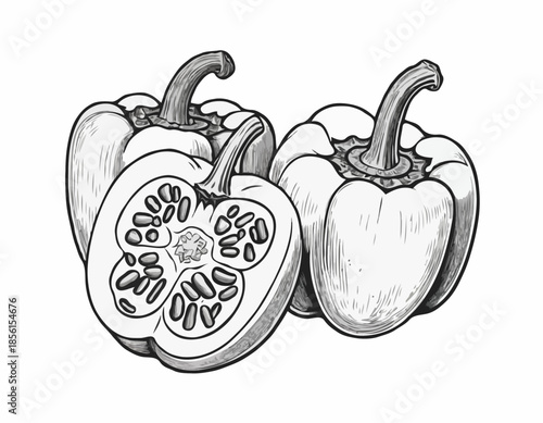 Monochrome Bell Pepper Cut Away Showing Seeds in Detailed Woodcut Style
