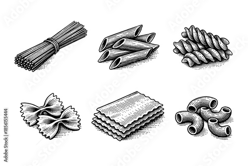 Vintage pasta collection: hand-drawn engravings of popular italian noodles