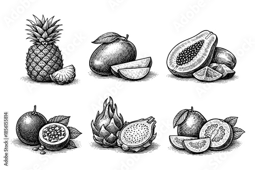 Vintage hand drawn tropical fruits collection in etching style