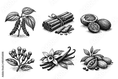Hand-drawn spice collection featuring pepper, cinnamon, nutmeg, clove, vanilla, and cardamom