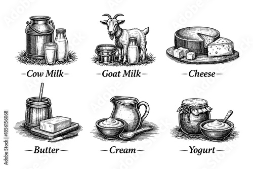 Rustic dairy products featuring milk, cheese, butter, and yogurt in vintage hand-drawn style