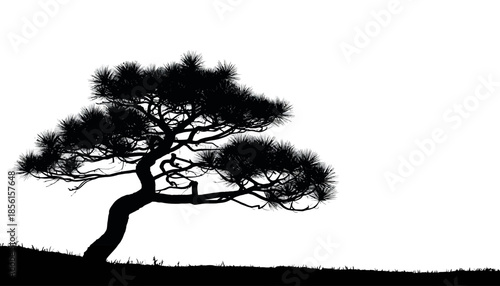Black silhouette of a tree against a white background, showcasing nature's beauty in a simple composition with a focus on the tree's shape and branches.