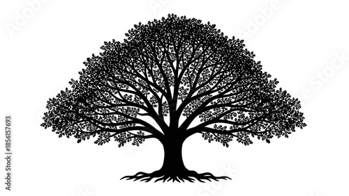 A black silhouette of a tree with sprawling branches and roots against a white background, representing nature.
