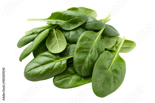 Fresh Spinach Leaves in Natural Green Color on White Background for Healthy Eating