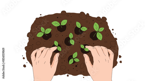 Overhead view of human hands carefully planting small green seedlings into rich dark brown soil, symbolizing growth and gardening.