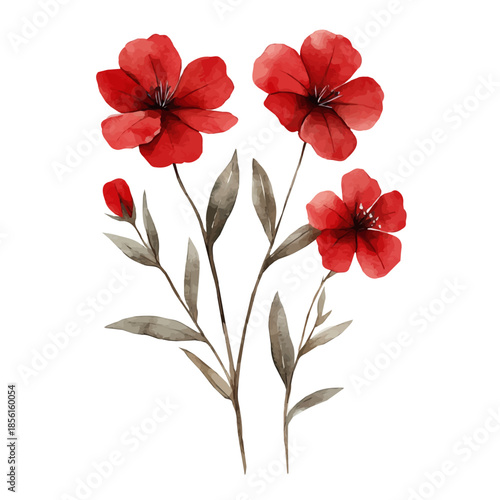 Lychnis Flower, clipart watercolor vector with vivid accents and harmonious tones, isolated on a white background.