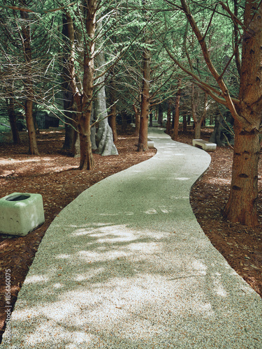 pathway forest trees trail walkway nature park evergreen winding gravel path through shaded woods with dappled sunlight, benches and serene atmosphere for walking and relaxation