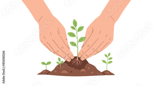 Two human hands gently nurturing a young plant with visible roots in a mound of soil, surrounded by smaller sprouts.