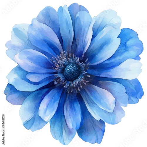 Knautia Flower, clipart watercolor vector with vivid accents and harmonious tones, isolated on a white background.